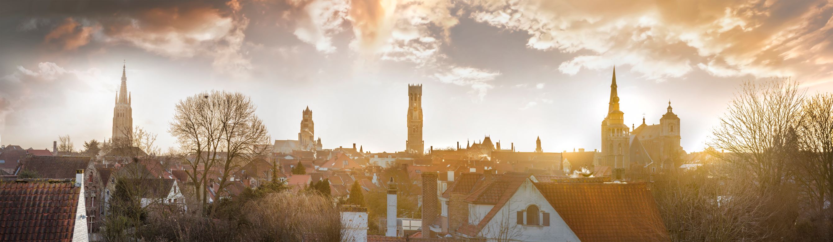 Banner of Stad Brugge